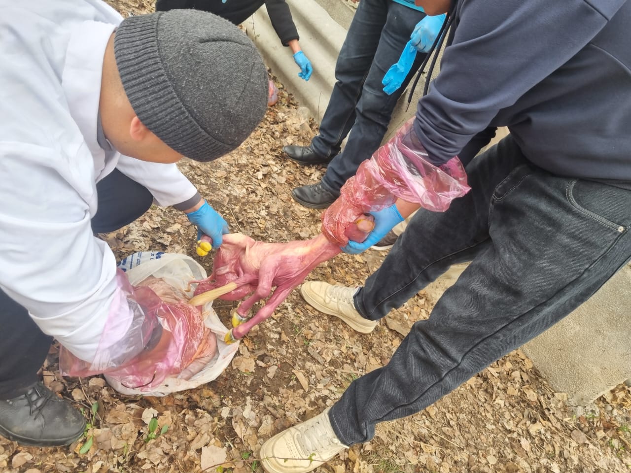 WhatsApp Image 2026-03-03 at 15.52.15 (1)