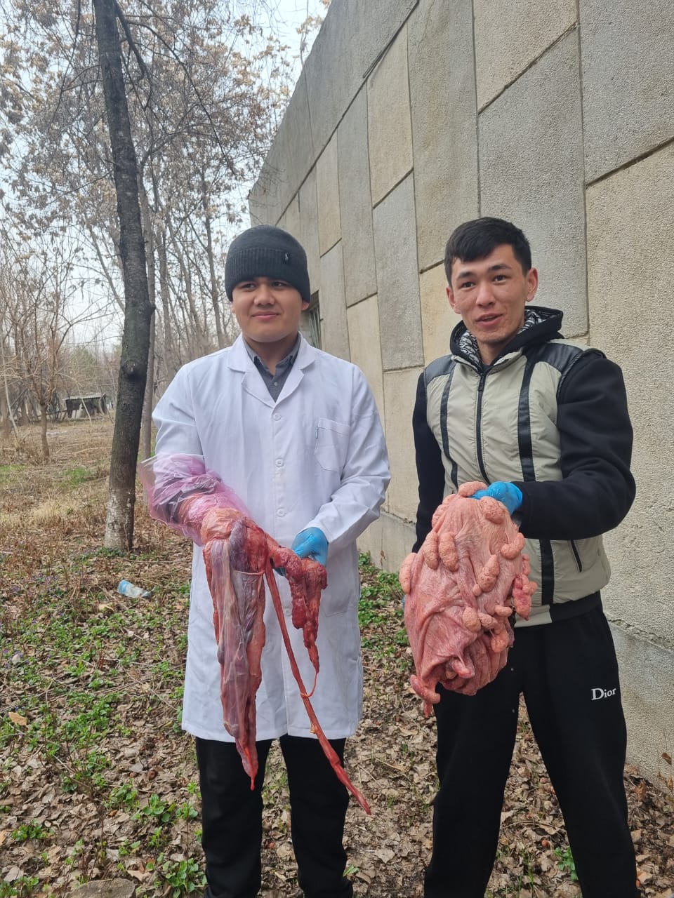 WhatsApp Image 2026-03-03 at 15.52.14