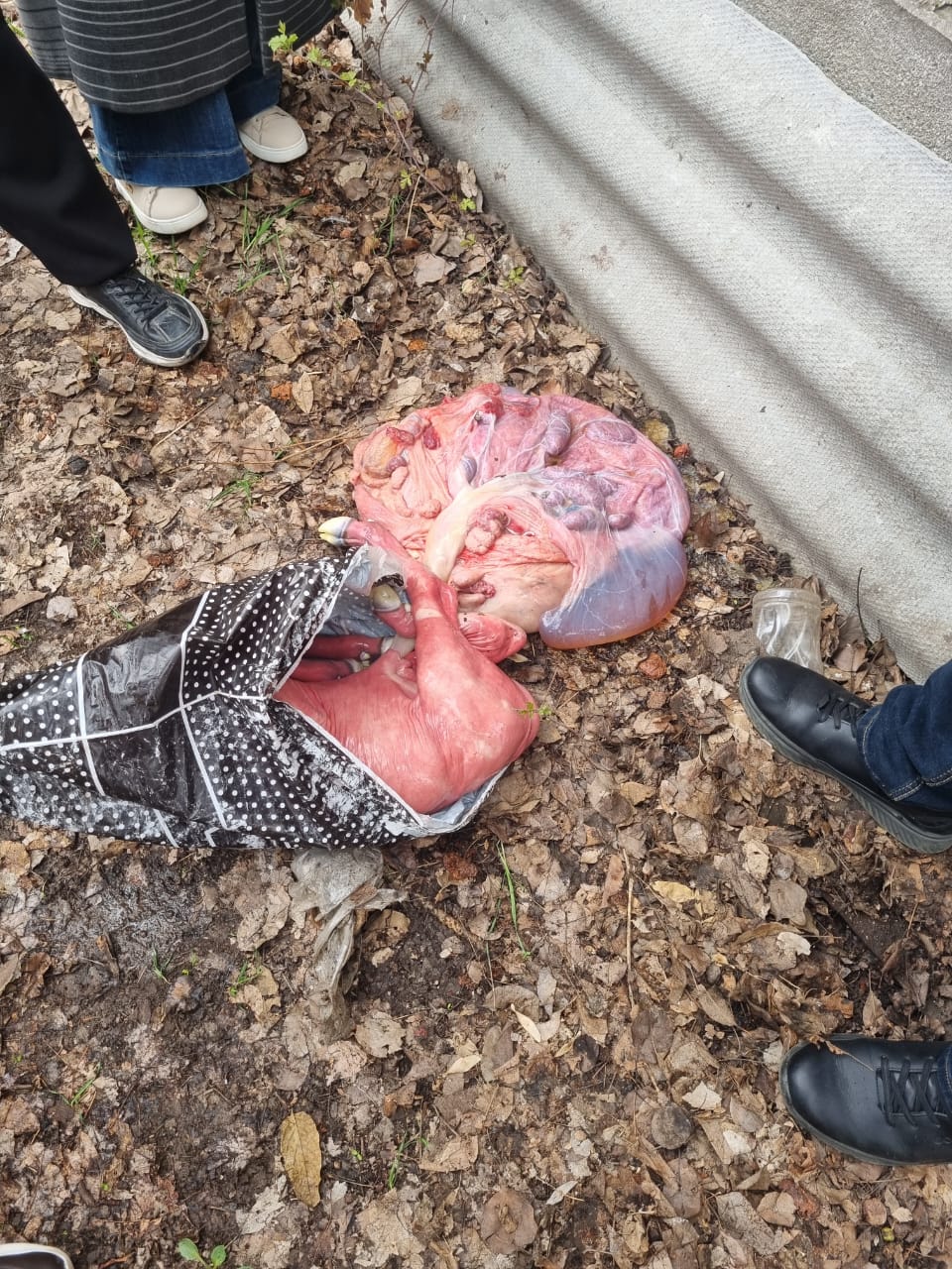 WhatsApp Image 2026-03-03 at 15.52.14 (3)