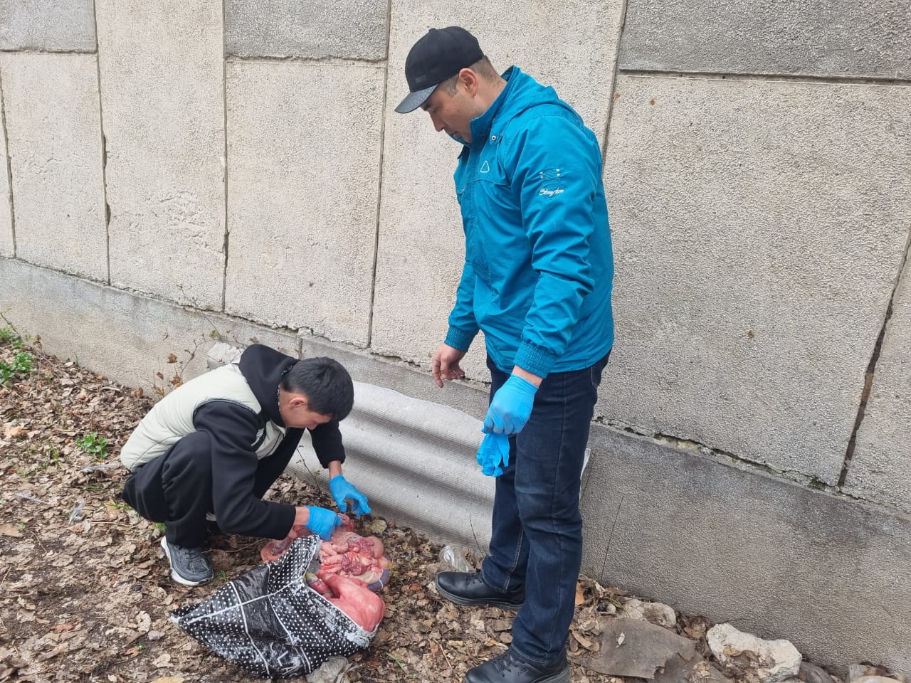 WhatsApp Image 2026-03-03 at 15.52.14 (2)