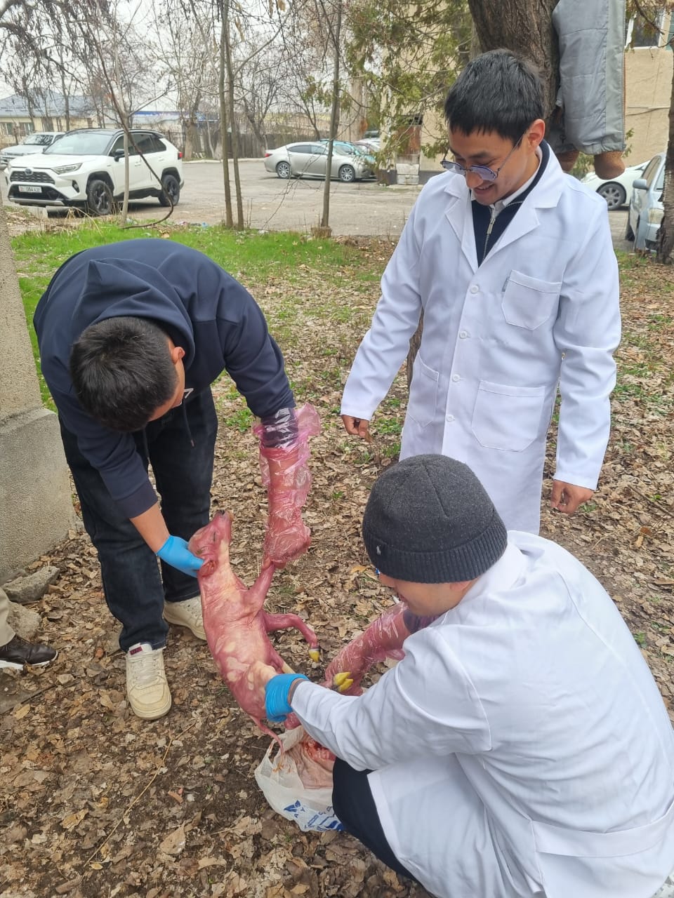 WhatsApp Image 2026-03-03 at 15.54.38