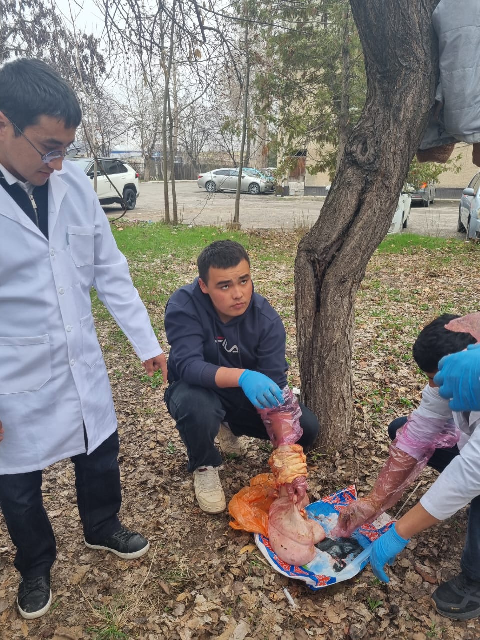 WhatsApp Image 2026-03-03 at 15.54.38 (2)