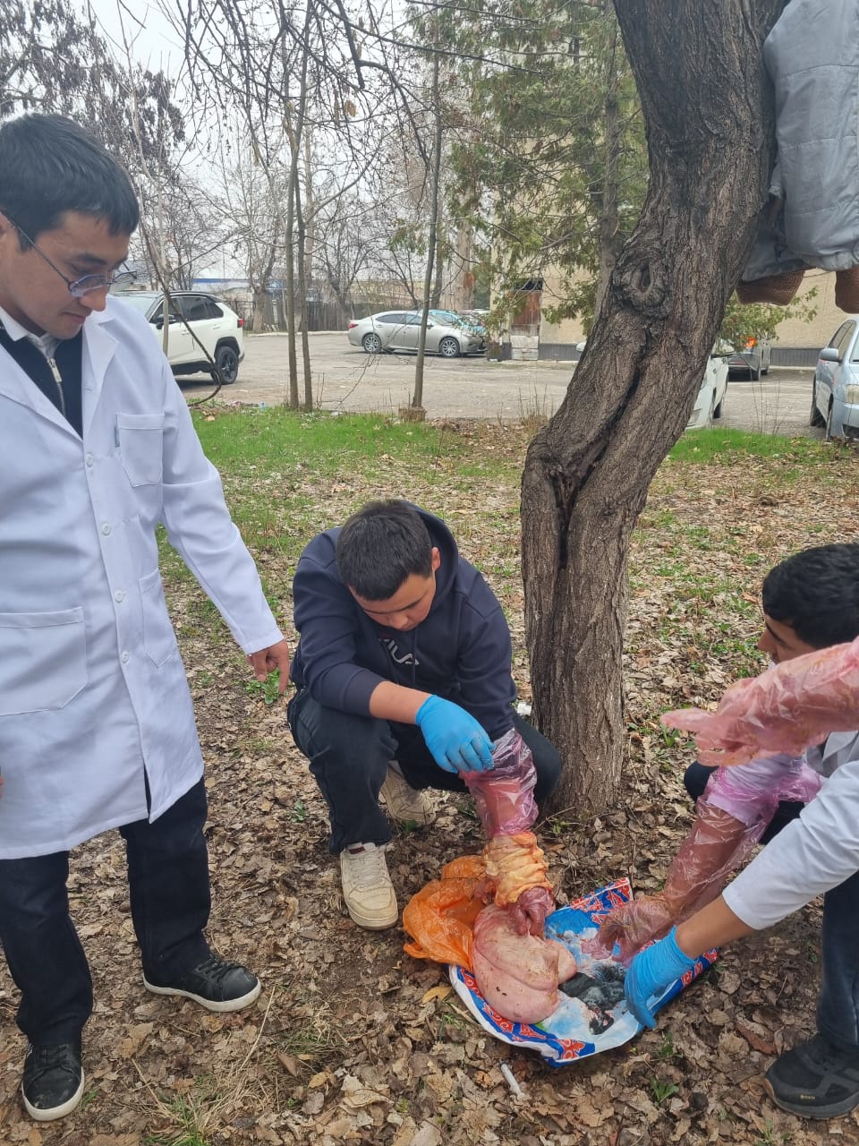 WhatsApp Image 2026-03-03 at 15.54.38 (1)