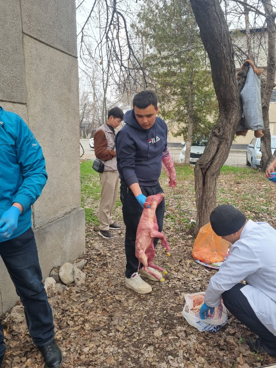 WhatsApp Image 2026-03-03 at 15.54.37