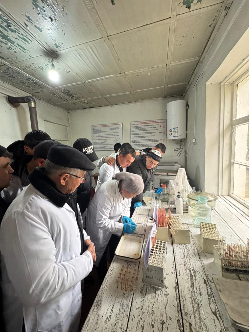 WhatsApp Image 2026-03-06 at 09.42.08 (2)