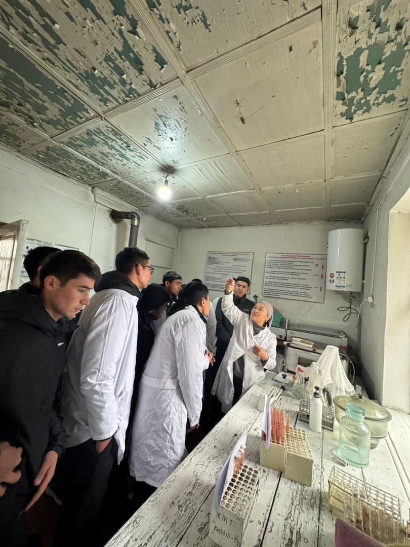 WhatsApp Image 2026-03-06 at 09.42.07 (3)