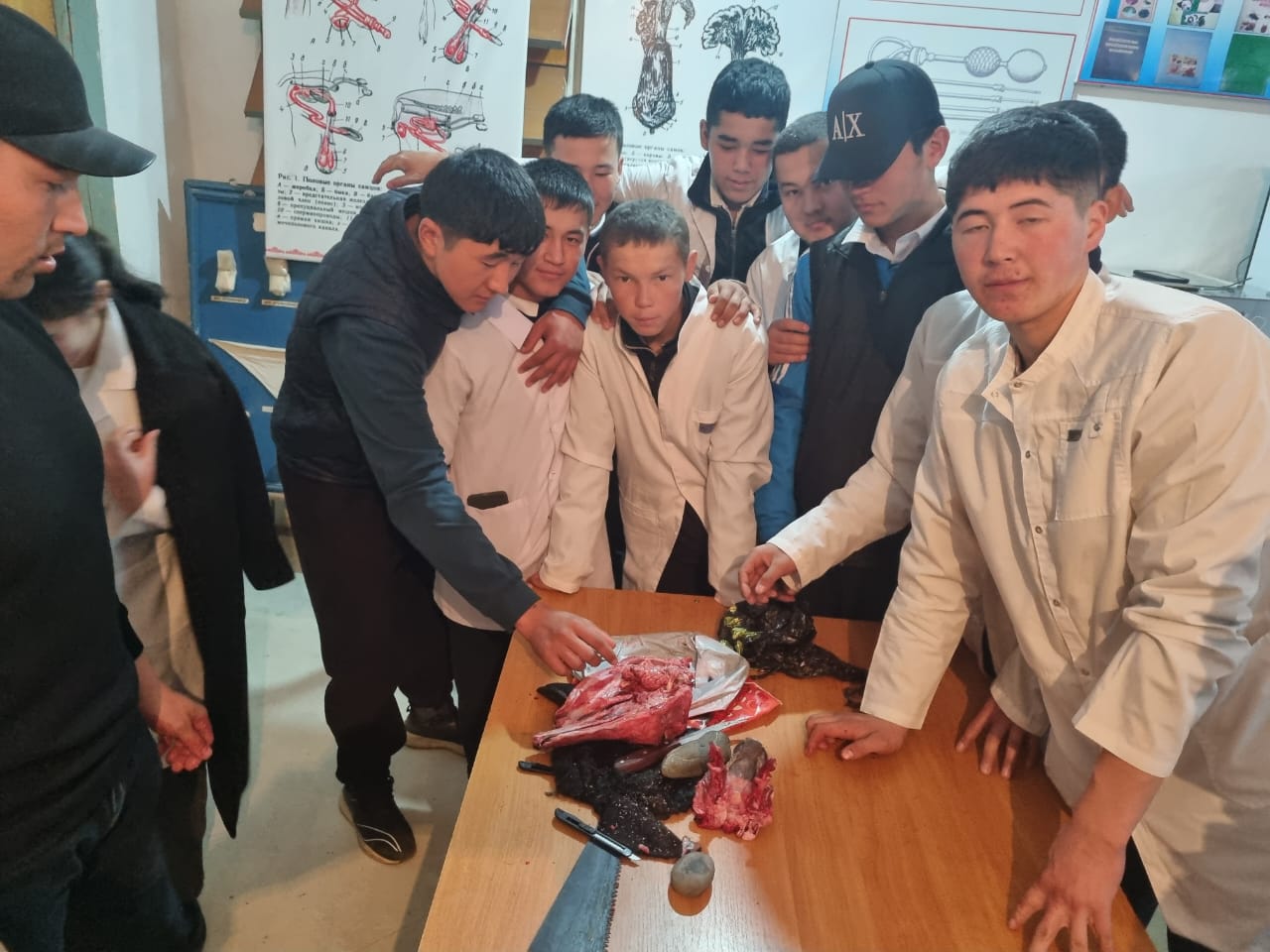 WhatsApp Image 2026-03-06 at 08.18.28