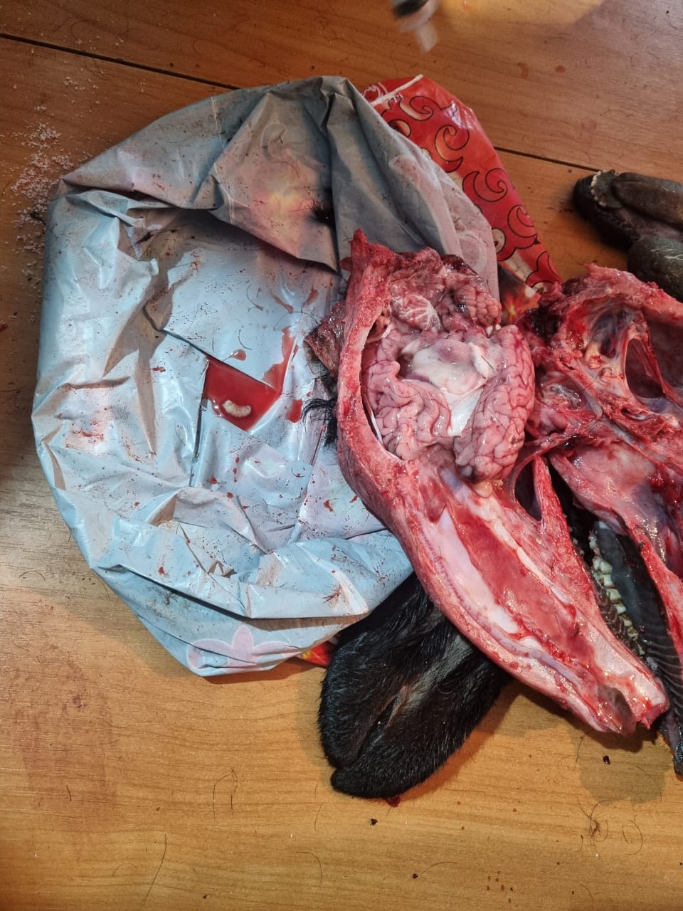 WhatsApp Image 2026-03-06 at 08.18.28 (2)