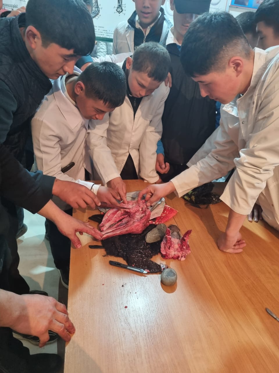 WhatsApp Image 2026-03-06 at 08.18.28 (1)