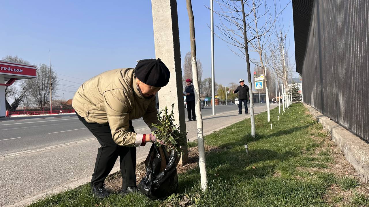 photo_5307799680974525130_y