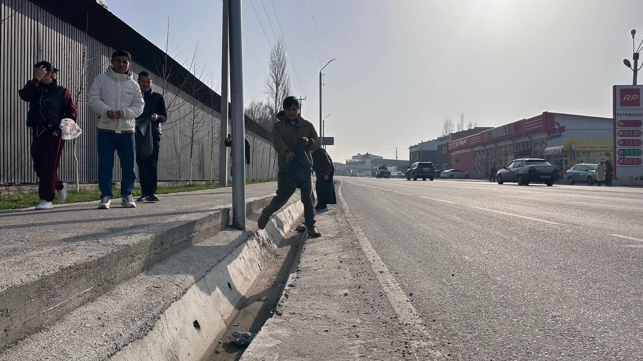 photo_5307799680974525128_y