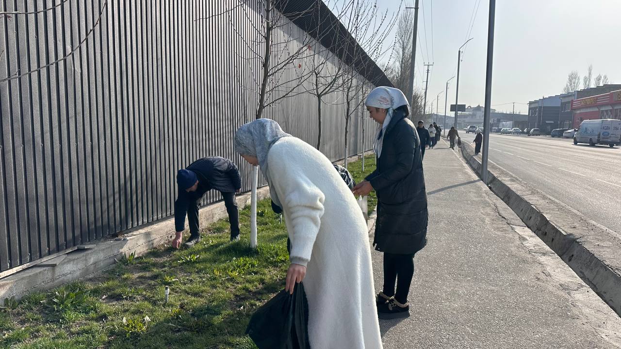 photo_5307799680974525127_y