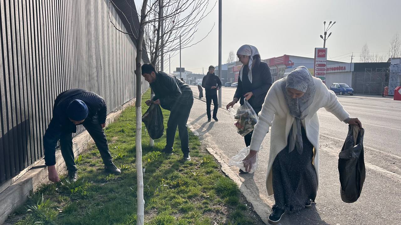 photo_5307799680974525126_y