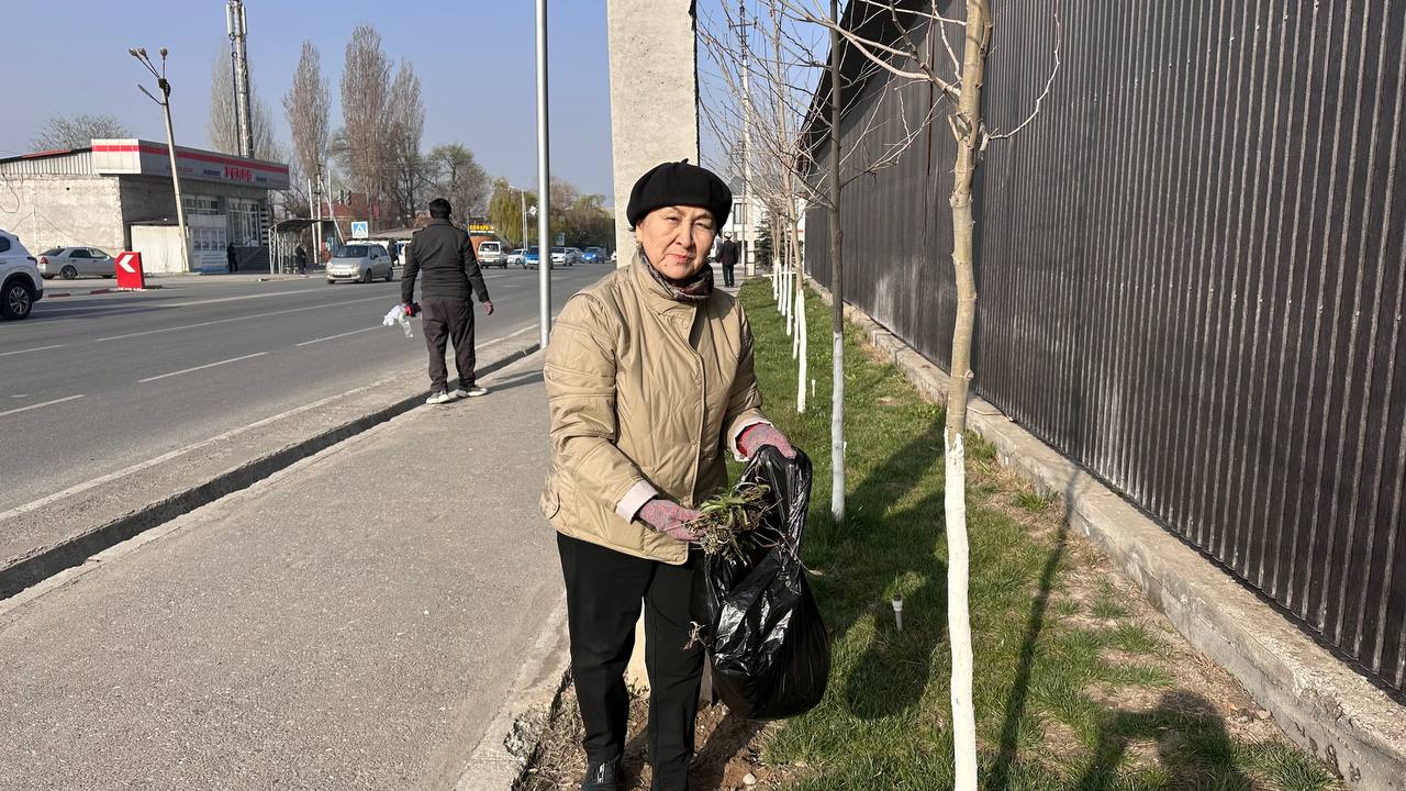 photo_5307799680974525124_y