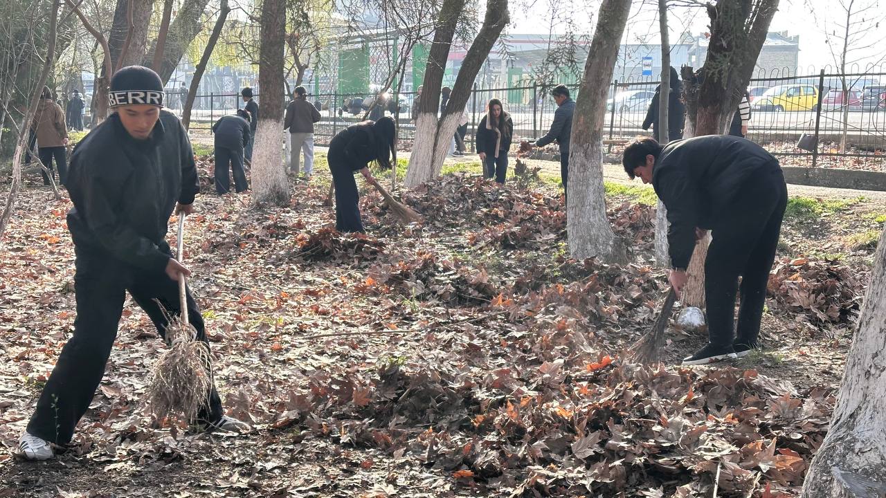 photo_5307799680974525122_y