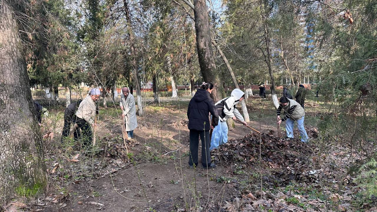 photo_5307799680974525120_y