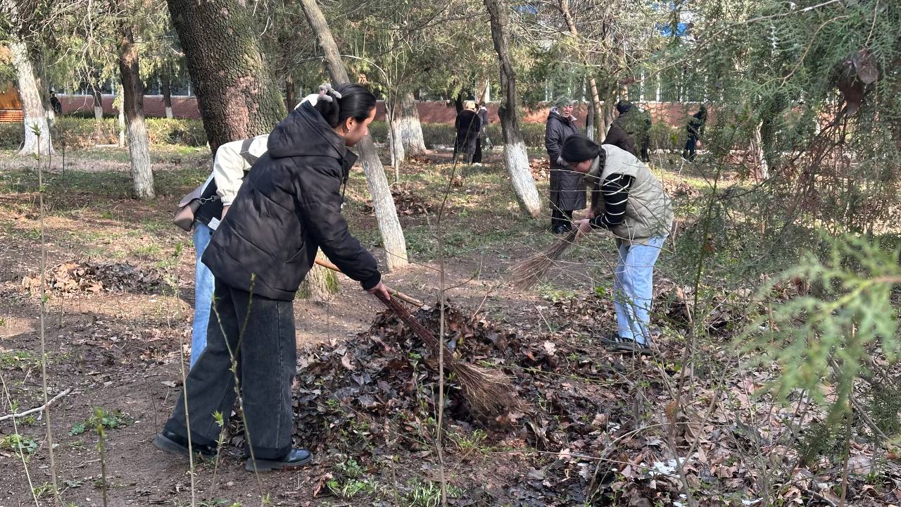 photo_5307799680974525119_y