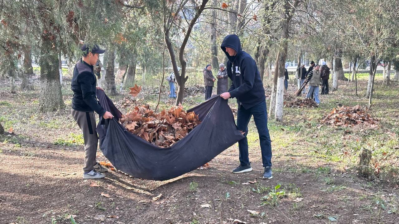 photo_5307799680974525118_y