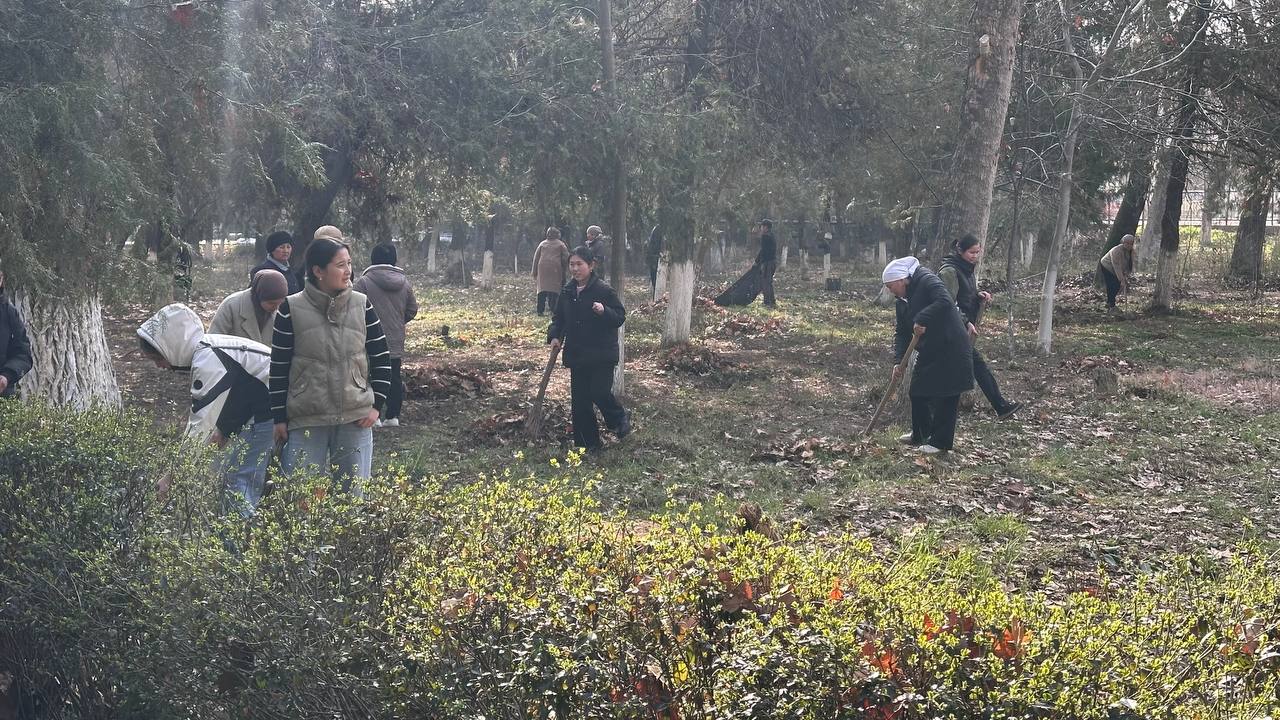 photo_5307799680974525115_y