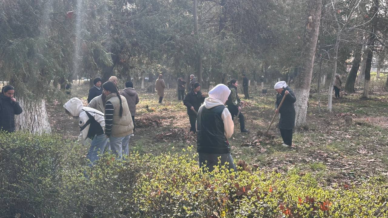 photo_5307799680974525114_y