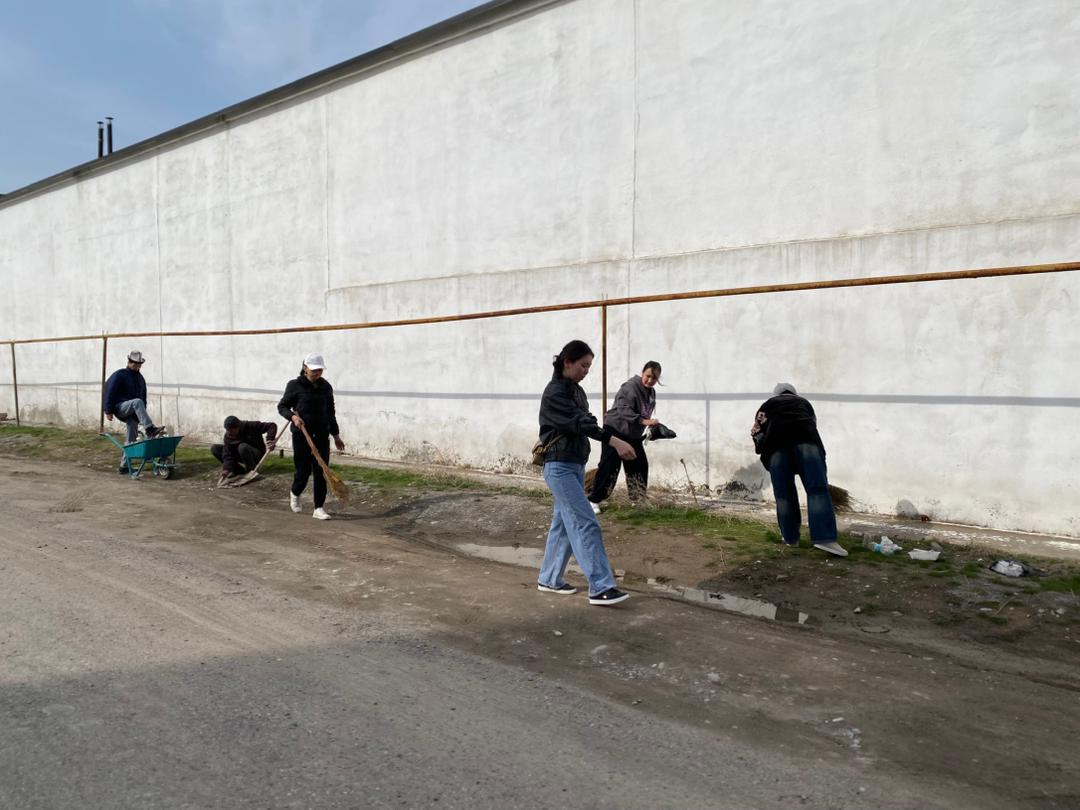 WhatsApp Image 2026-03-14 at 08.26.09