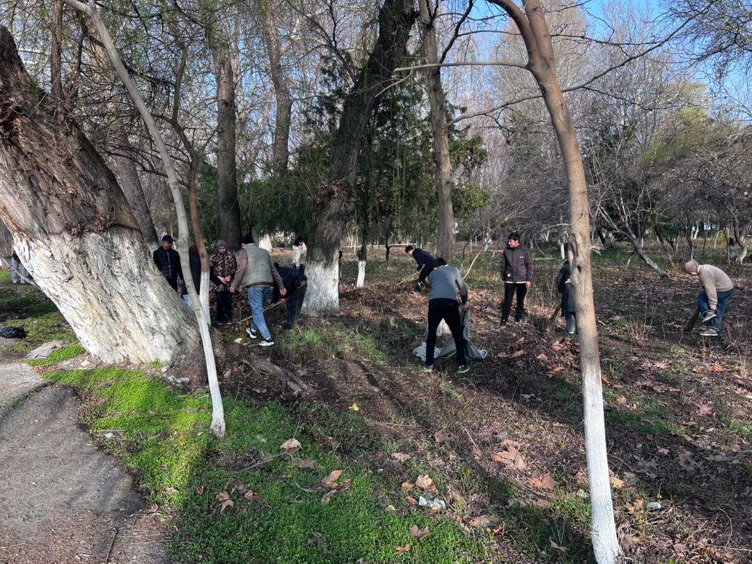 WhatsApp Image 2026-03-14 at 20.29.17 (2)