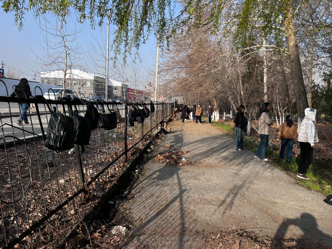 WhatsApp Image 2026-03-14 at 20.29.17