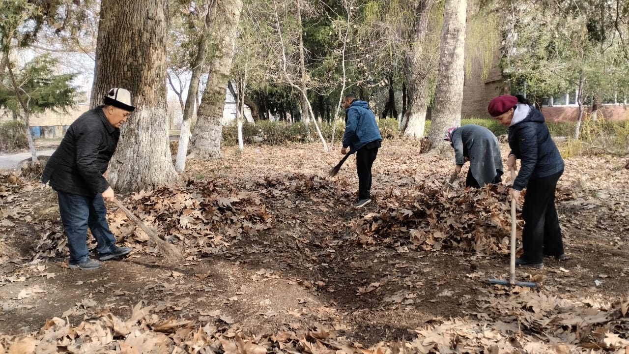 WhatsApp Image 2026-03-14 at 20.29.18 (1)