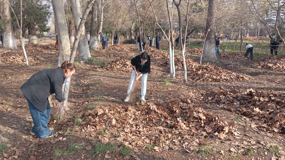 WhatsApp Image 2026-03-14 at 20.29.19 (1)