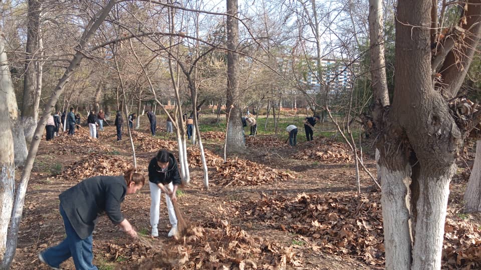 WhatsApp Image 2026-03-14 at 20.29.19 (2)