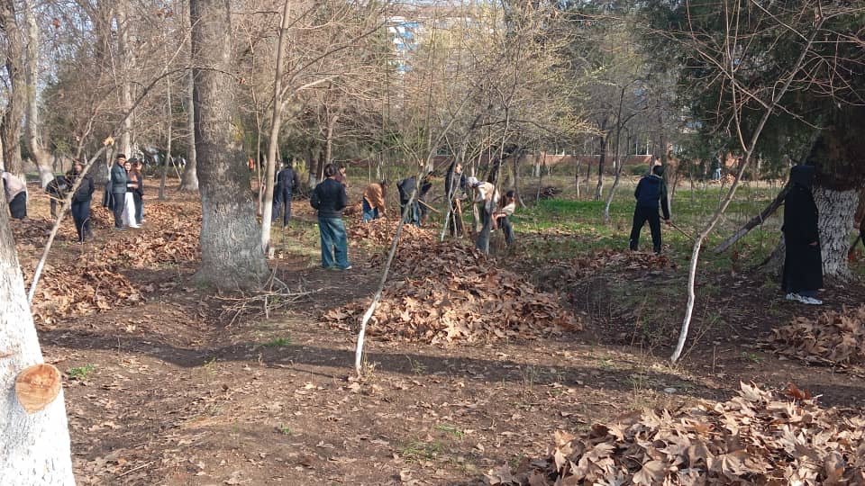 WhatsApp Image 2026-03-14 at 20.29.19 (3)