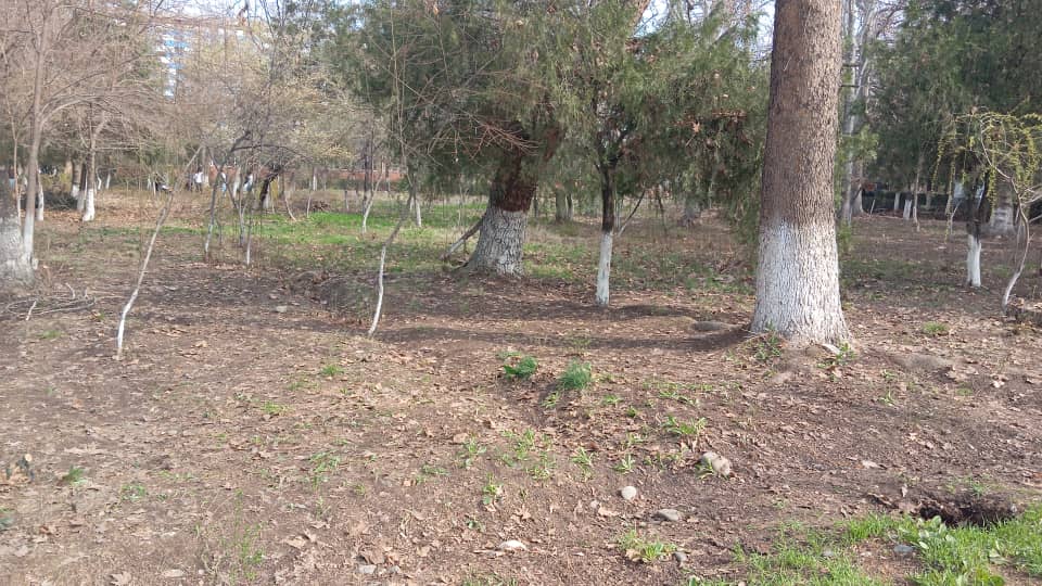 WhatsApp Image 2026-03-14 at 20.29.19 (4)