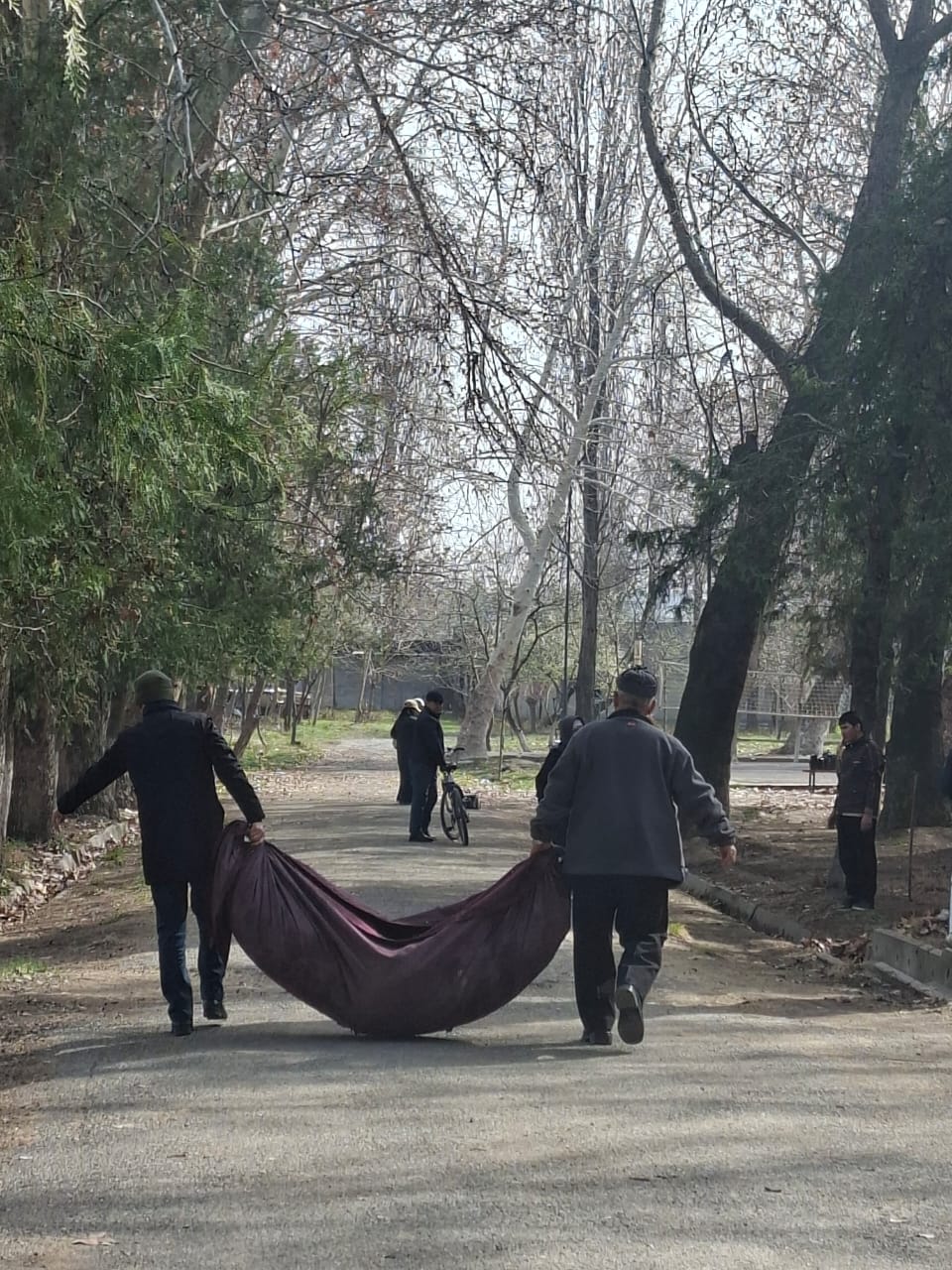 WhatsApp Image 2026-03-14 at 20.29.19