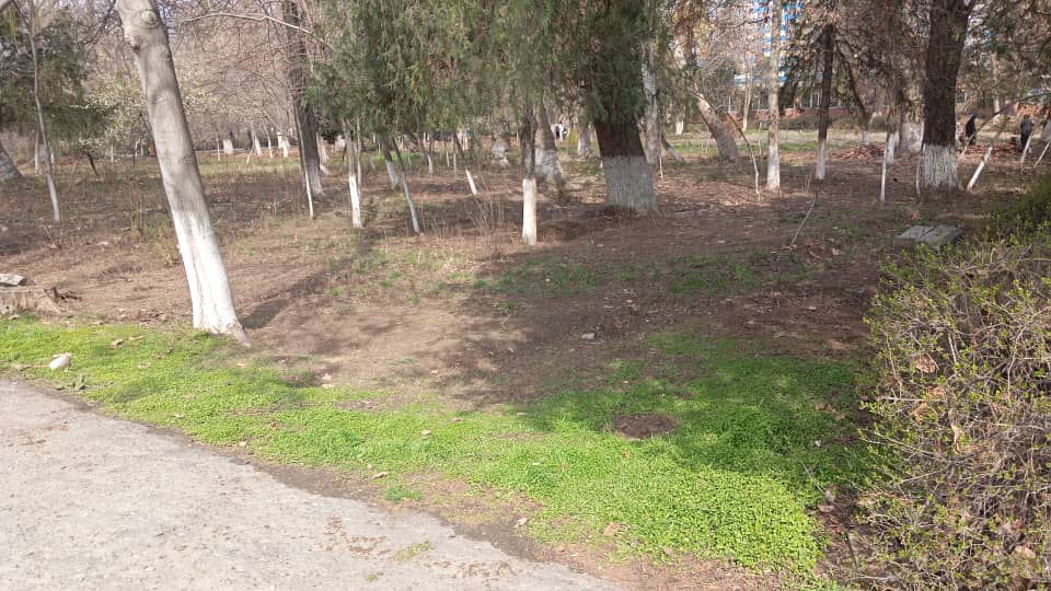 WhatsApp Image 2026-03-14 at 20.29.20 (2)