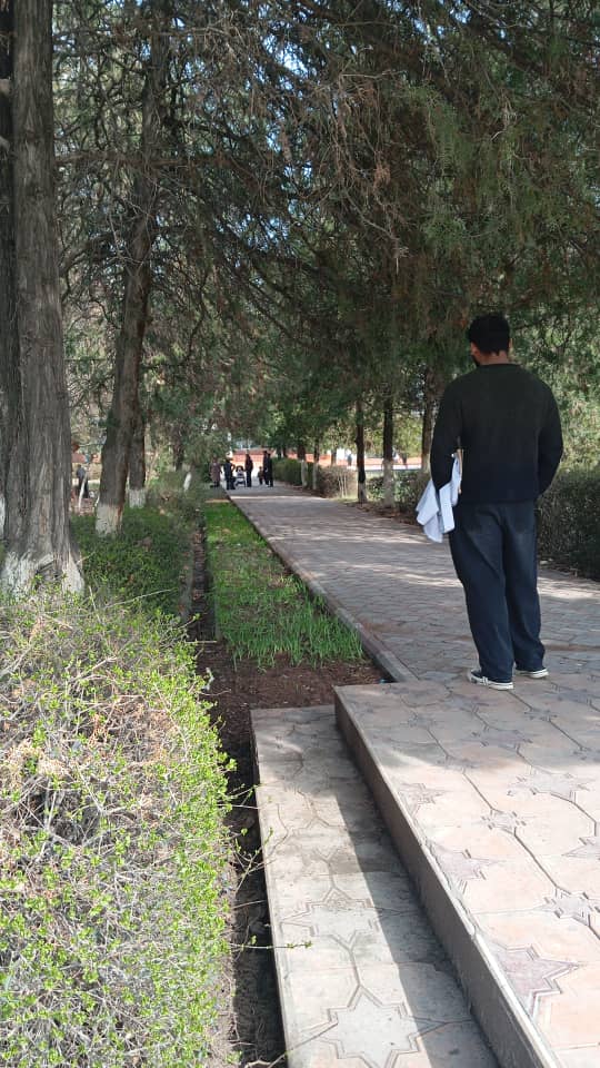 WhatsApp Image 2026-03-14 at 20.29.20 (3)