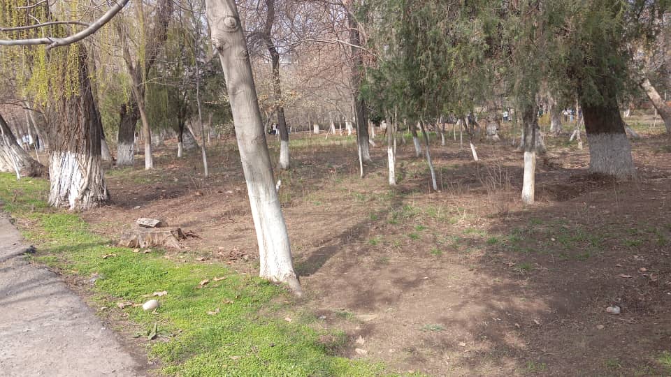 WhatsApp Image 2026-03-14 at 20.29.20 (4)