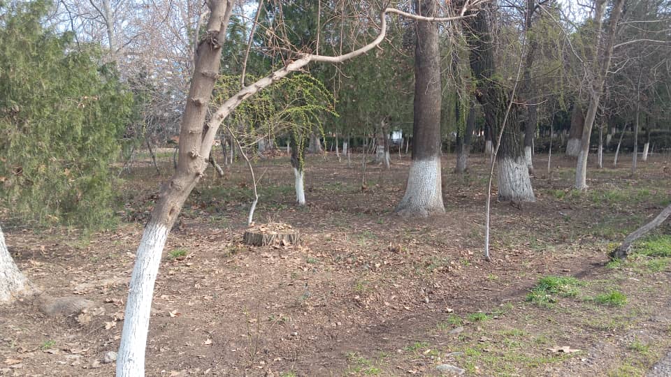 WhatsApp Image 2026-03-14 at 20.29.20