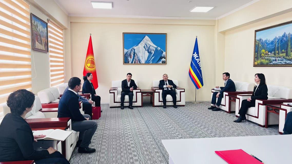 photo_5321050260673074313_y