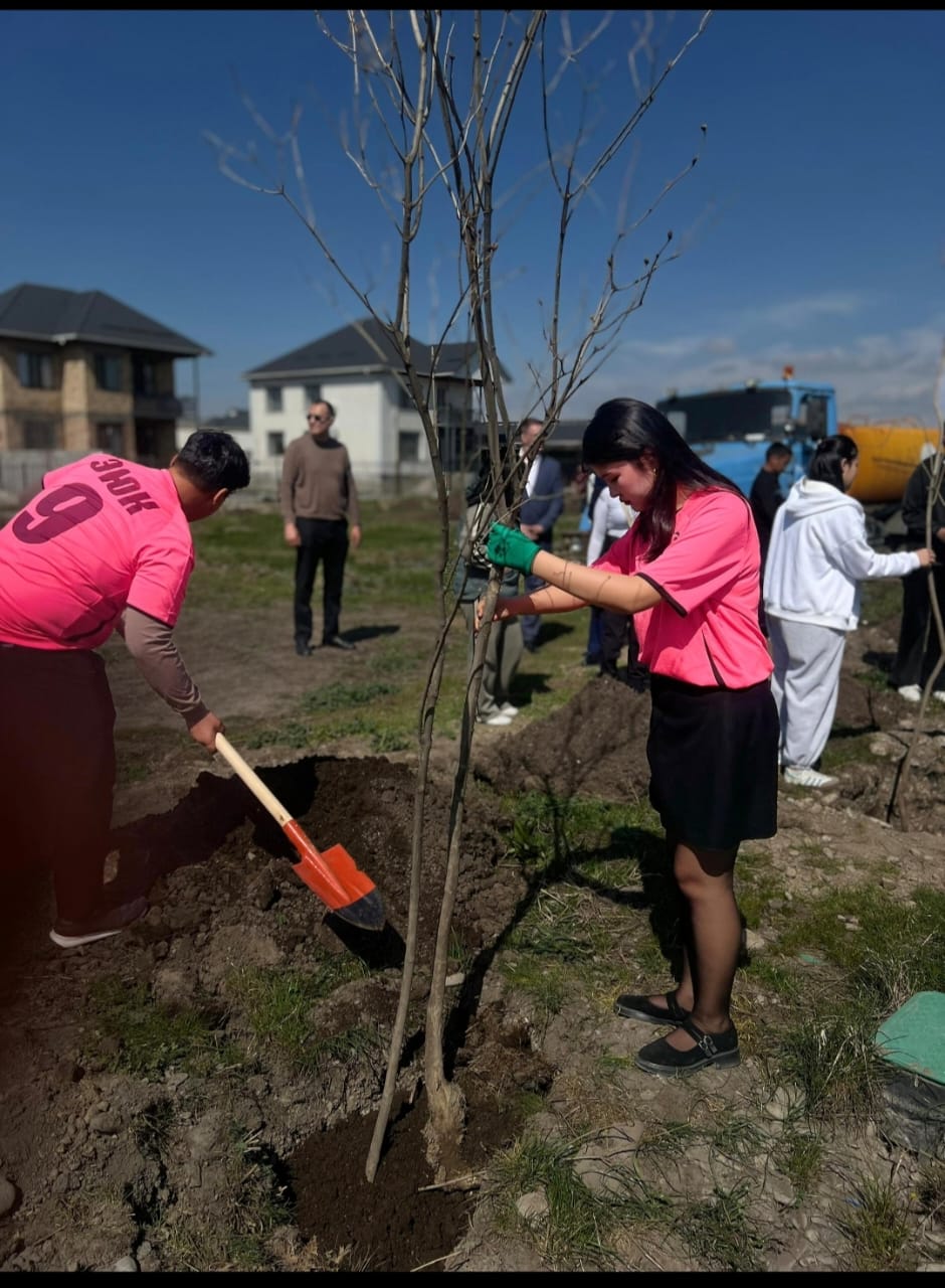 WhatsApp Image 2026-03-24 at 14.29.32 (2)