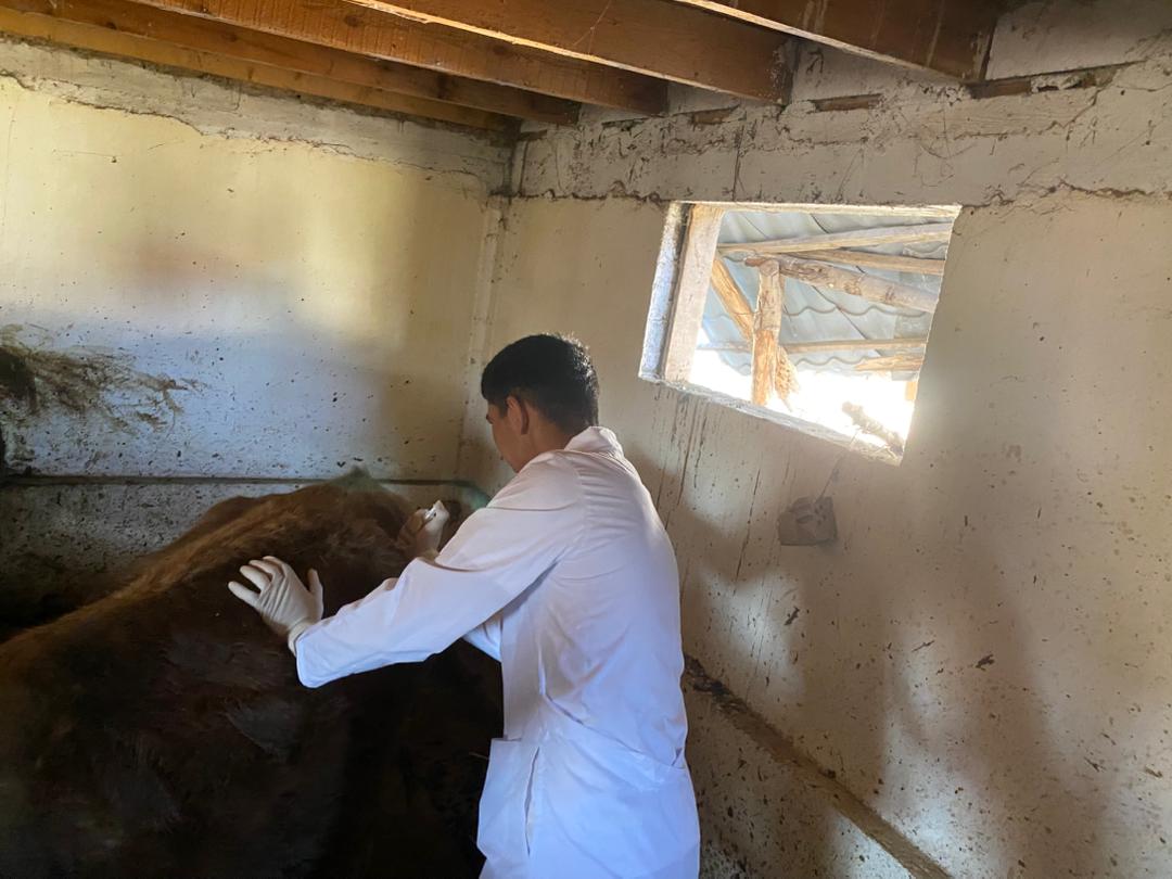 WhatsApp Image 2026-03-25 at 09.53.41