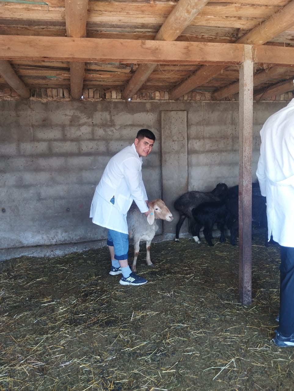 WhatsApp Image 2026-03-25 at 09.53.41 (3)