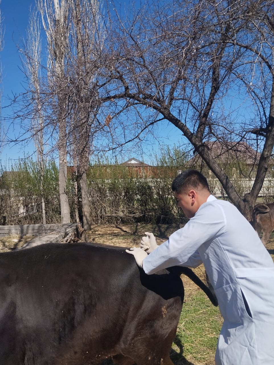 WhatsApp Image 2026-03-25 at 09.53.41 (1)