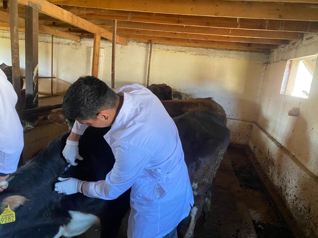 WhatsApp Image 2026-03-25 at 09.53.40