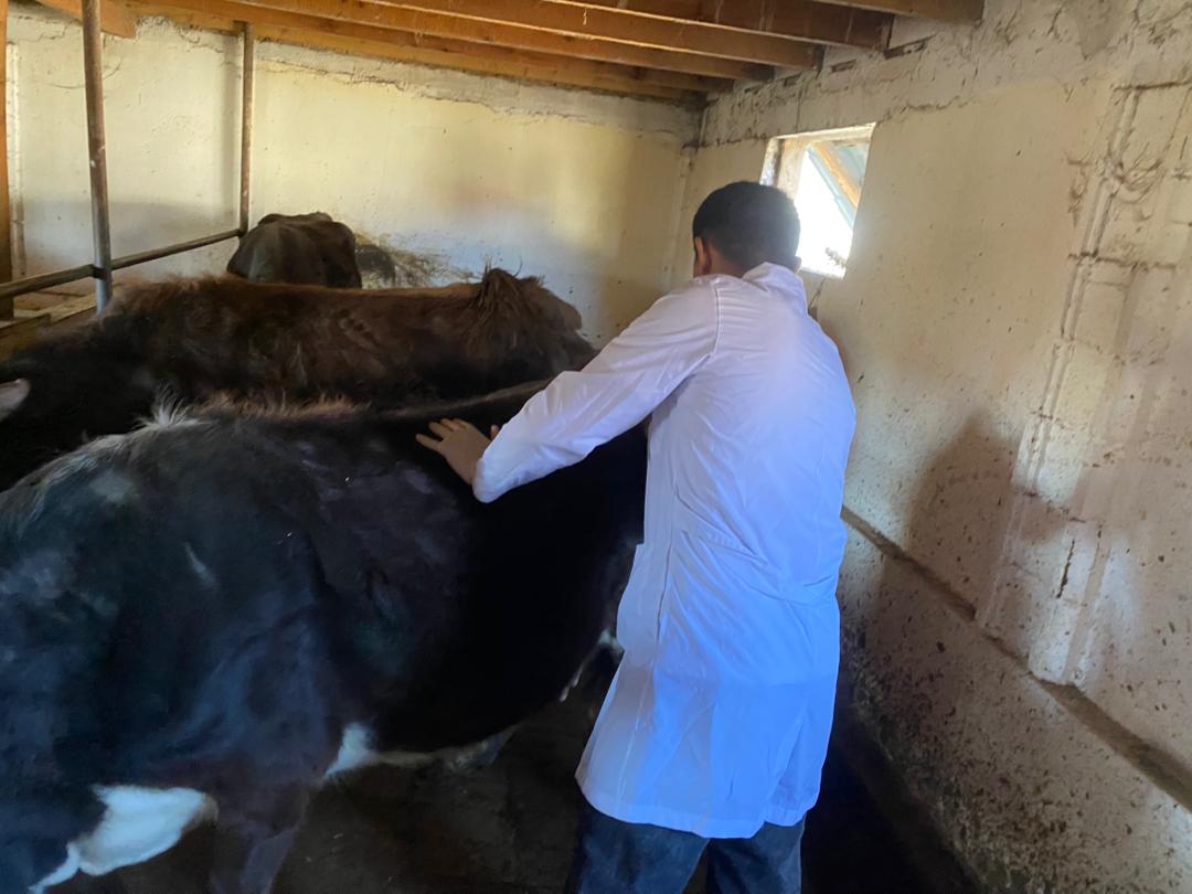 WhatsApp Image 2026-03-25 at 09.53.40 (1)