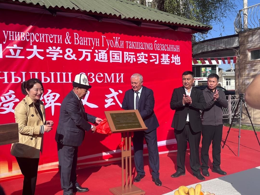 photo_5355277653918815875_y