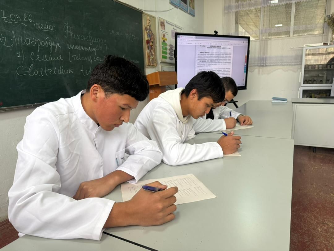 WhatsApp Image 2026-03-31 at 13.29.12 (1)