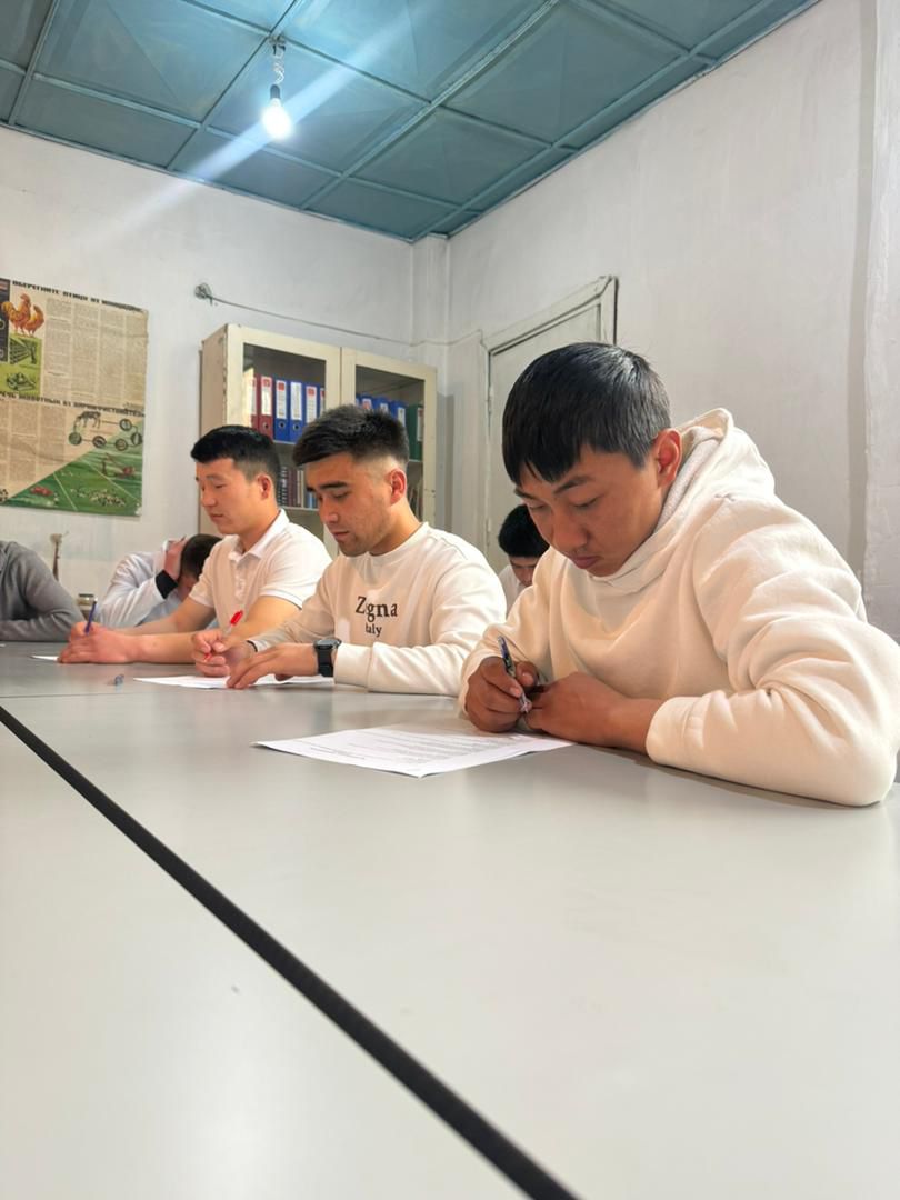 WhatsApp Image 2026-03-31 at 13.29.14 (2)