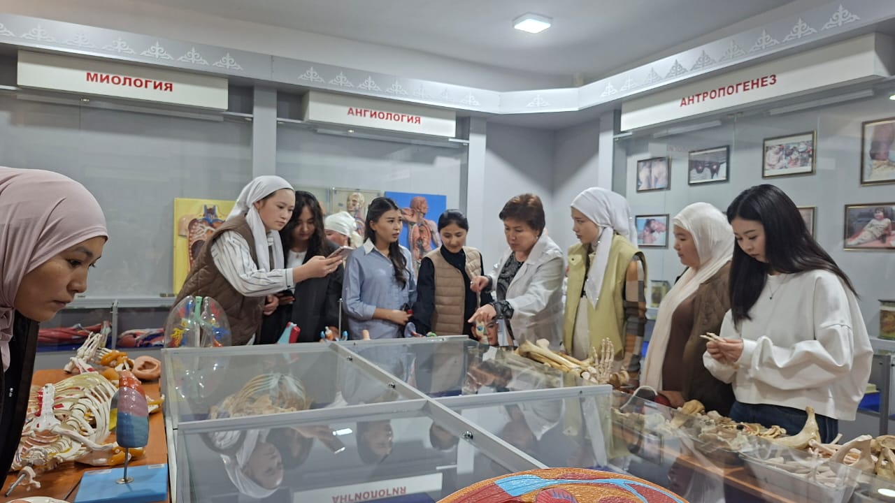 WhatsApp Image 2026-04-01 at 13.31.29