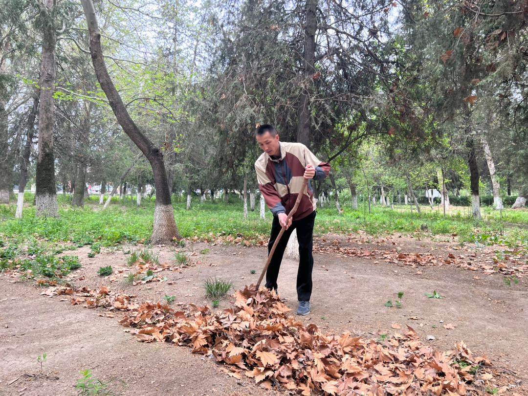 WhatsApp Image 2026-04-04 at 10.54.07