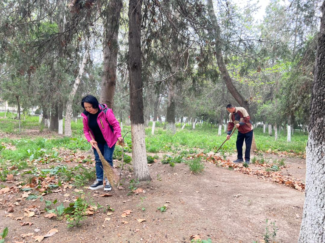 WhatsApp Image 2026-04-04 at 10.54.08 (1)